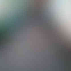 a small group of children are throwing beanbags on a Christmas tree shaped target chalked on the floor, the branches have numbers on them