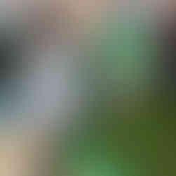 a little girl is putting green paper leaves onto a cardboard beanstalk