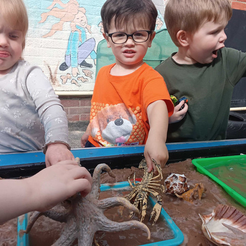 Children discovering shells and sea creatures together in a sensory rock pool, encouraging collaborative play, communication and curiosity about the natural world at Fun Box Day Nursery.