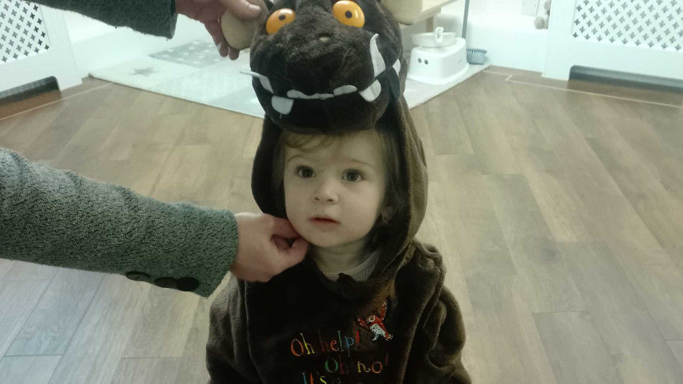 little girl is wearing a Gruffalo costume looking into the camera