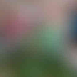 two little girls are pushing numbred green leaves into a carboard tube