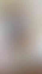 a little baby is exploring some colourful animal shapes while sitting on a light coloured rug, toys are on the shelf in the background