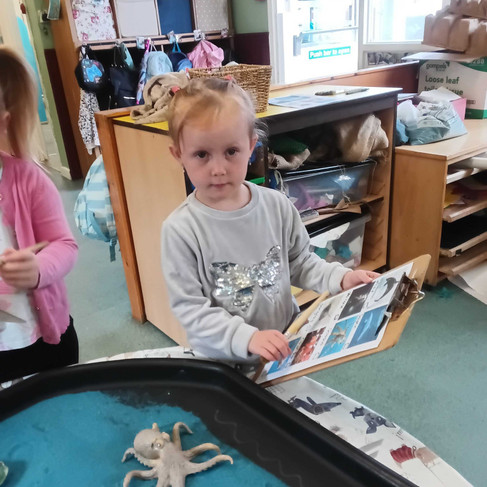 Child using a sea creature picture checklist to identify marine animals in an Under the Sea exploration activity, promoting curiosity, vocabulary and visual recognition at Fun Box Day Nursery.