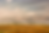 Image 22.png