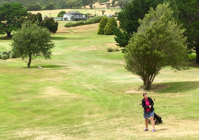 Golf in New Zealand
