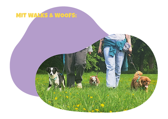 Walks&Woof_Website_16.png