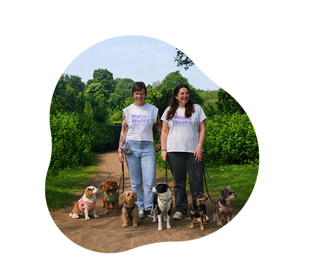 Walks&Woof_Website_8.png