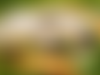 A Little Luck for Your Kitchen This March