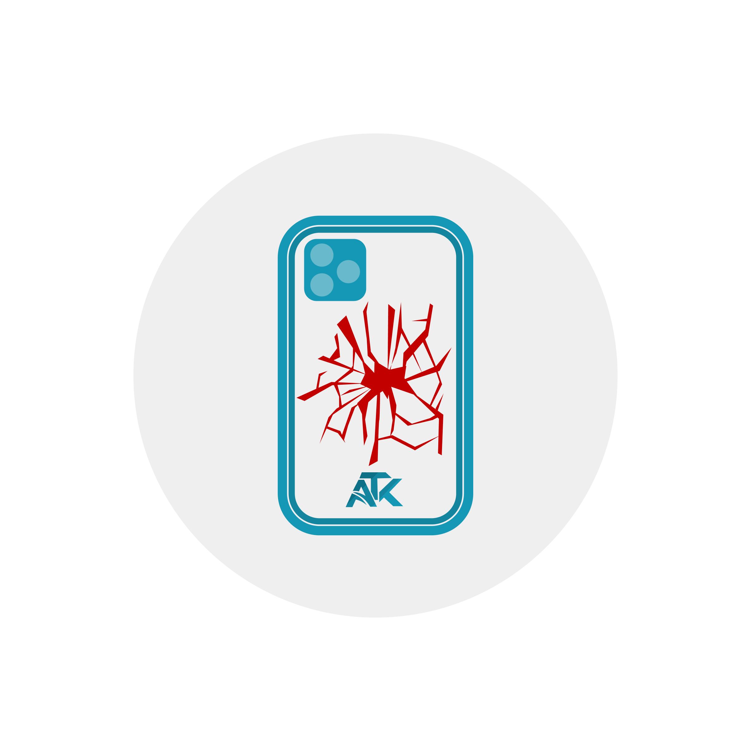 iPhone 12 Pro Display Backcover Reparatur
