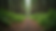 Forestry Hiring Services: Hiring a Forestry Expert Online