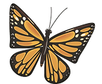 mariposa_edited.png
