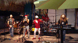 margaritaville (7)