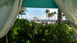 margaritaville (5)