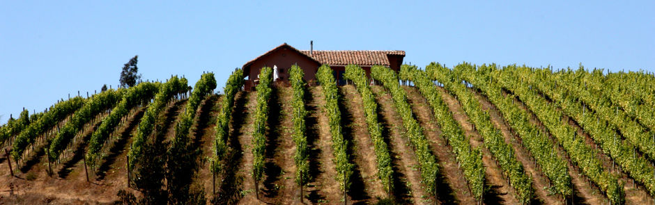 Casa Marin.jpg
