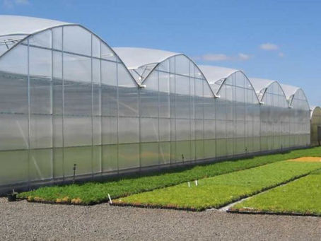Can greenhouses be built on agricultural land in Selangor?