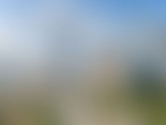 Why subsale shop lot is one of the best investment?