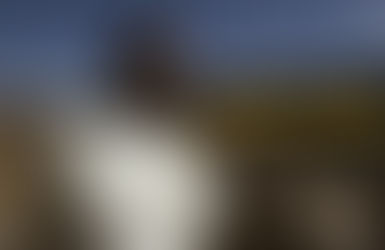 Framed - مابقيتش إرهابي !