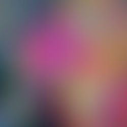 Koutoukoutou - Relations sexuelles hors mariage