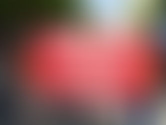 Comunidade acadêmica da UFERSA apresenta moção de repúdio aos cortes em reunião do CONSUNI