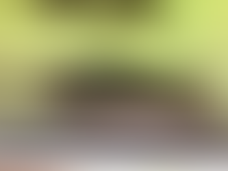 Razza resta incinta ma vive sola in un acquario con cinque squali: com’è possibile