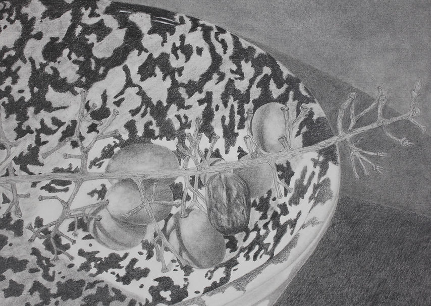 AshleyThomas_Grapes_detail_graphite drawing.jpg