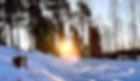 Aamuaurinko.jpeg