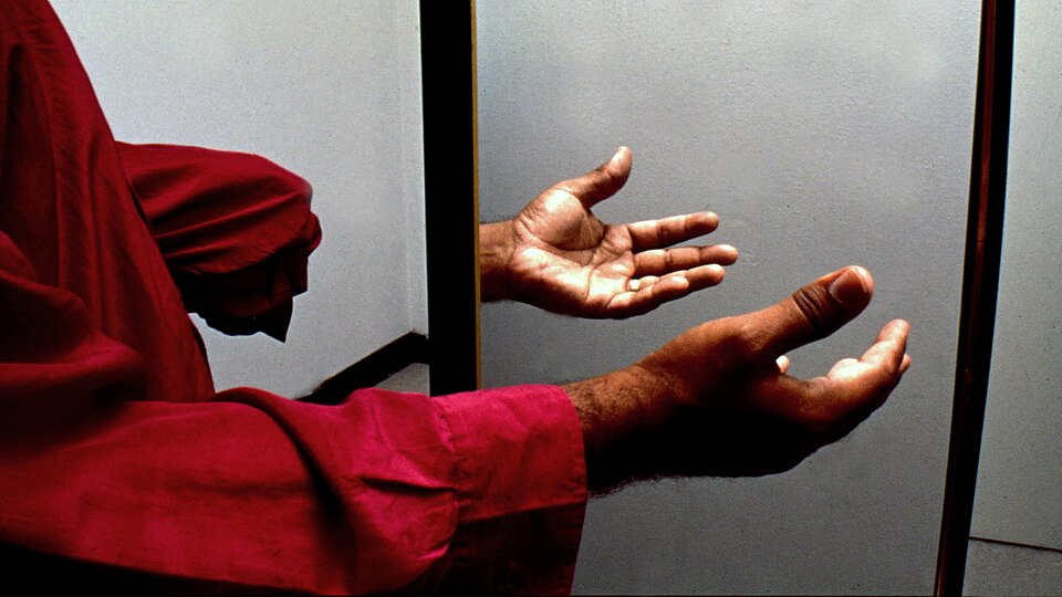 Photograph illustrating the phantom-limb illusion