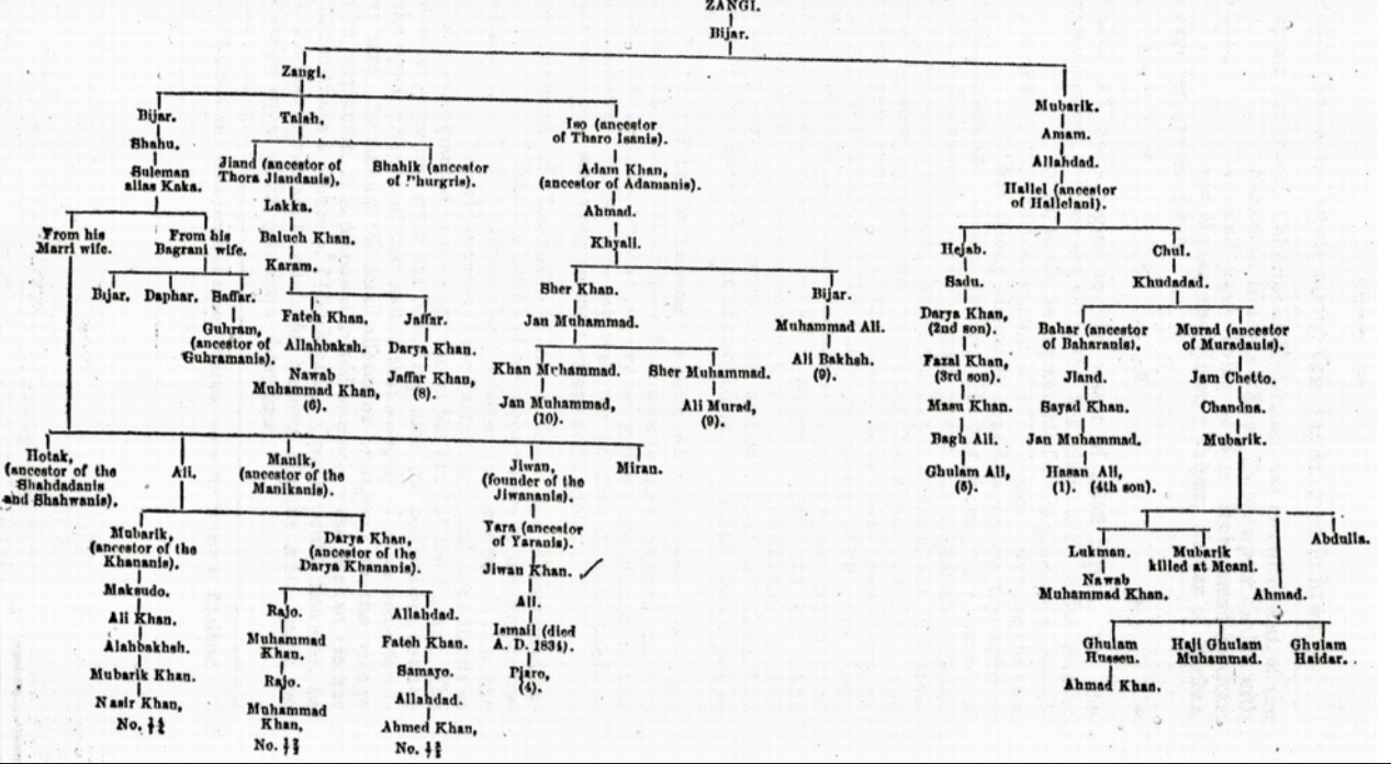 Baloch genealogy chart