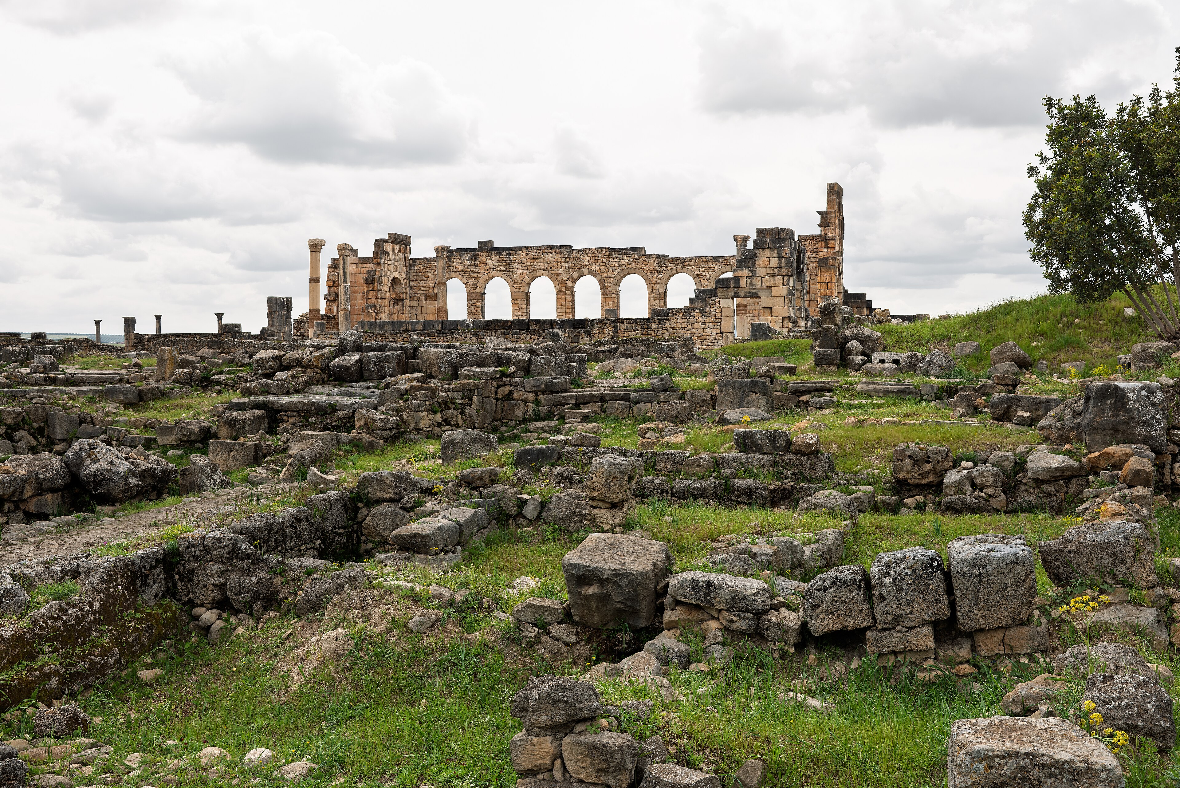 Roman ruins of Volubilis in Morocco