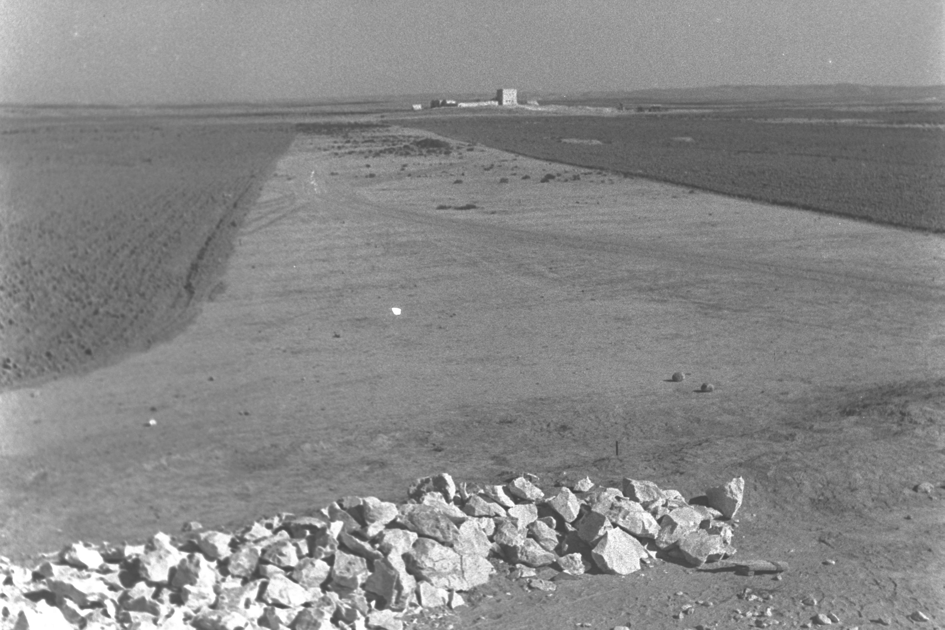 Fields of Kibbutz Revivim in the central Negev, south of Beersheba