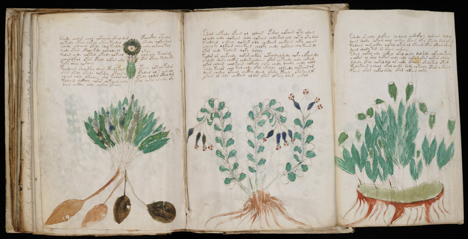 Folio 170 of the Voynich Manuscript