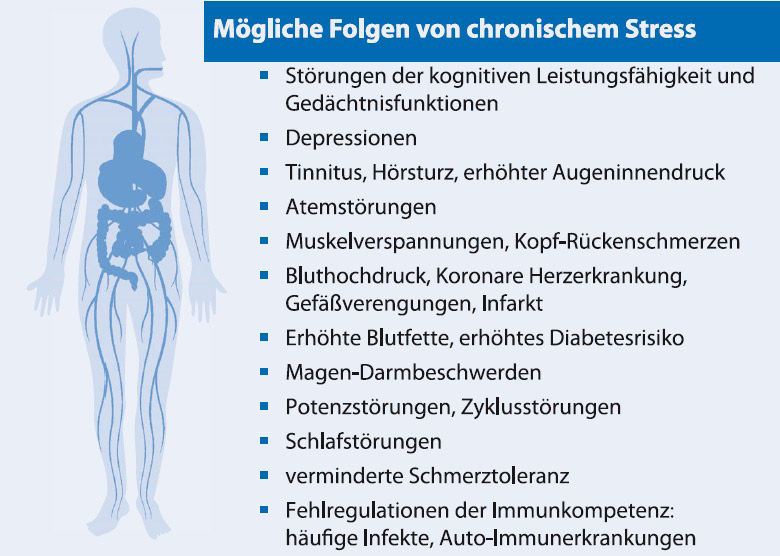 Stress und die körperlichen Auswirkungen