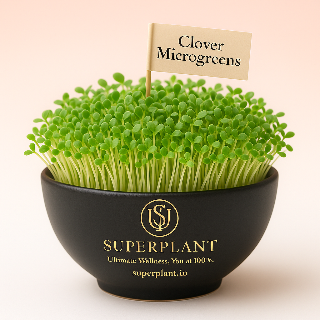 Clover Microgreens
