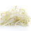 Thumbnail: Mung Bean Sprouts | Green Gram