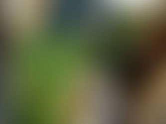 ¿El destino es el camino? ¿Cliché?