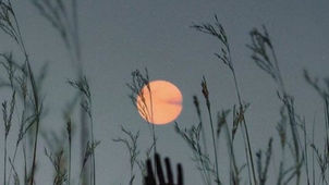 Descongelando un corazón muerto de frío