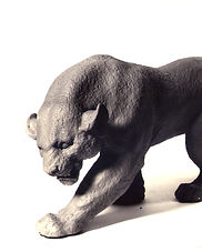 Max Grossman - A+Onça.jpg