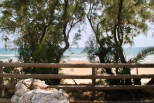 Riva Torre Salsa