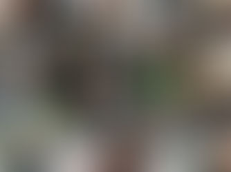 Alice è in paradiso. 