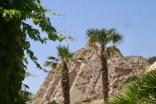 Riva Torre Salsa
