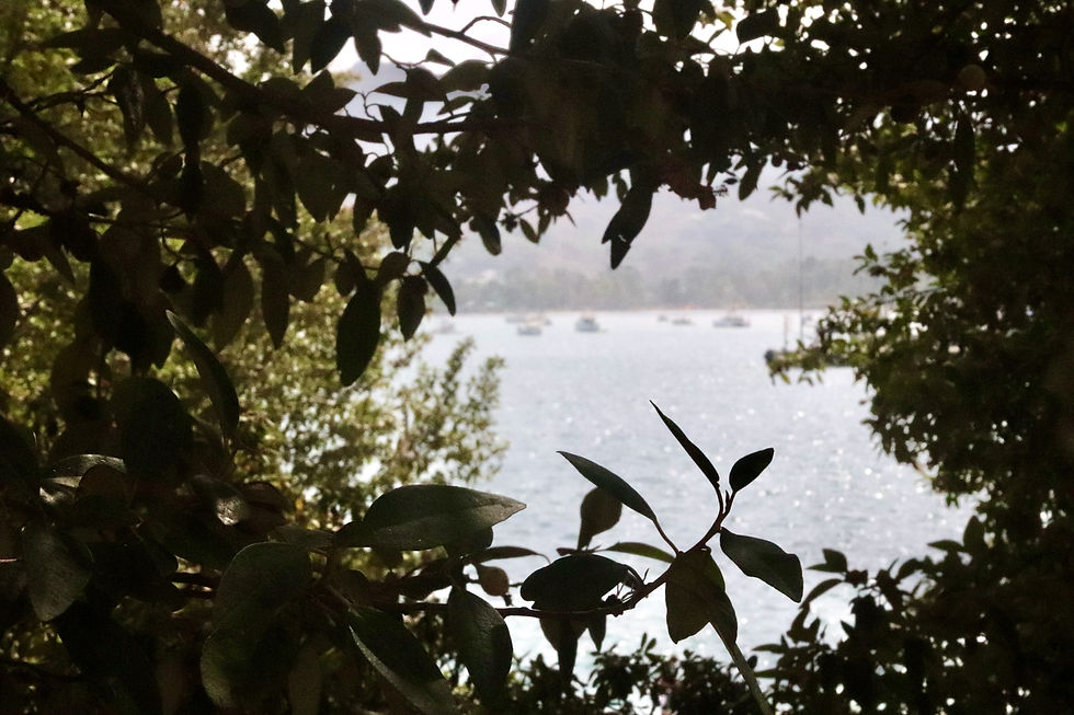 Elba 2022 © Nino Campisi .