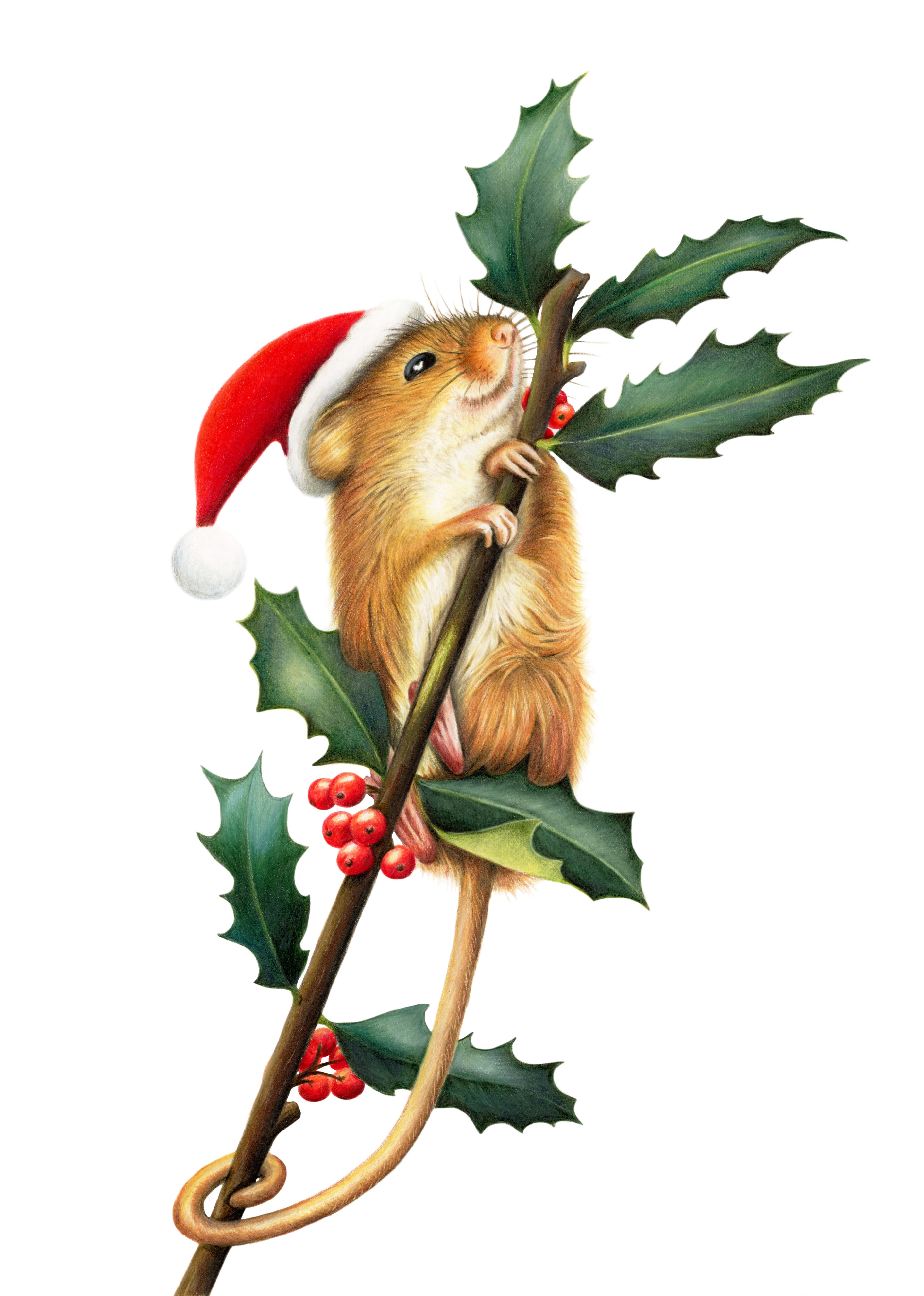Holly Jolly Christmouse