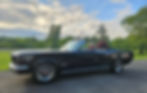 Mustang (2)
