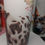 Thumbnail: Dalmatian  20oz tumbler