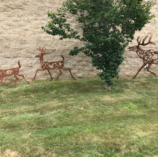 Wendy Klemperer
"Deer"
steel