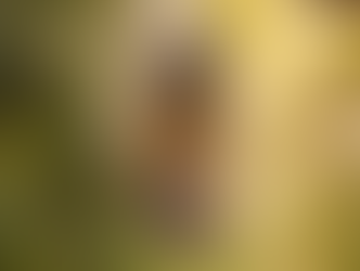 My Body Listens Before I Do