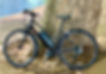 Liv Alight Step Through With Bafang Mid Drive Motor