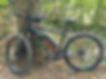Voodoo Ebike Conversion - E-MY-BIKE