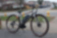 Custom Giant ebike