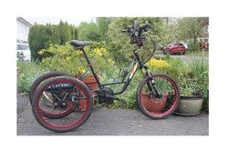 trike border ebike conversion